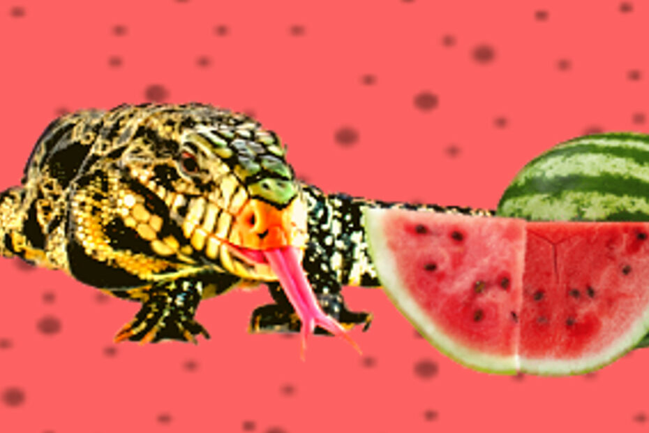 Tegu and water melon