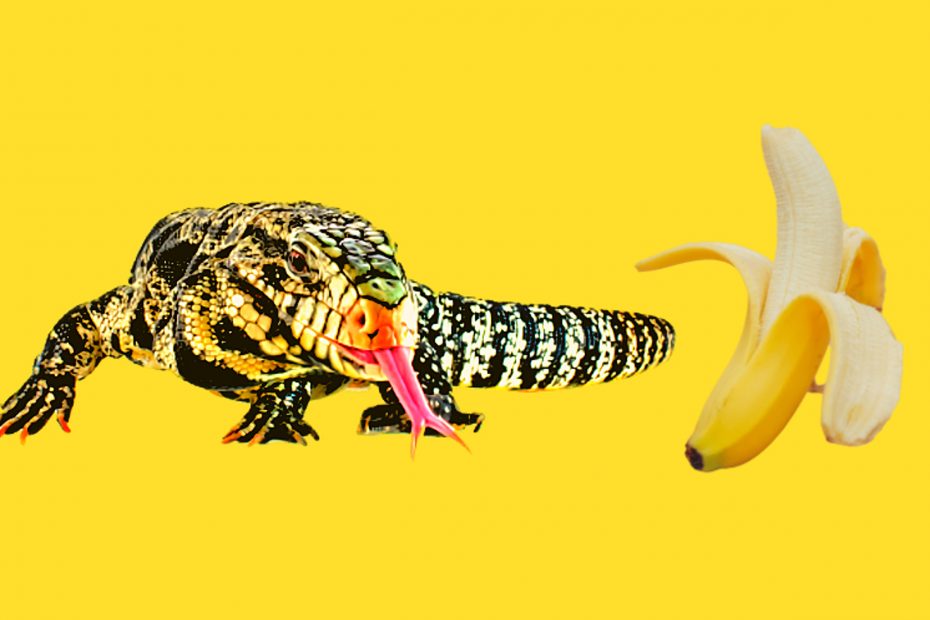 Can tegus eat bananas?