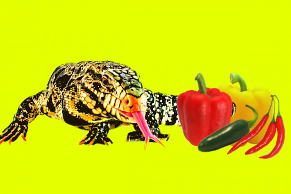 Can tegu eat peppers?