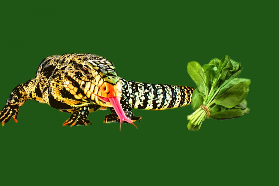 Can tegus eat spinach?