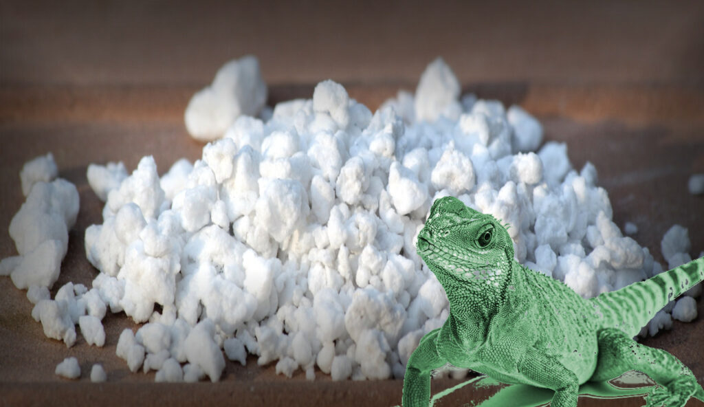 Perlite can be a safe addiction to your reptile's enclosure