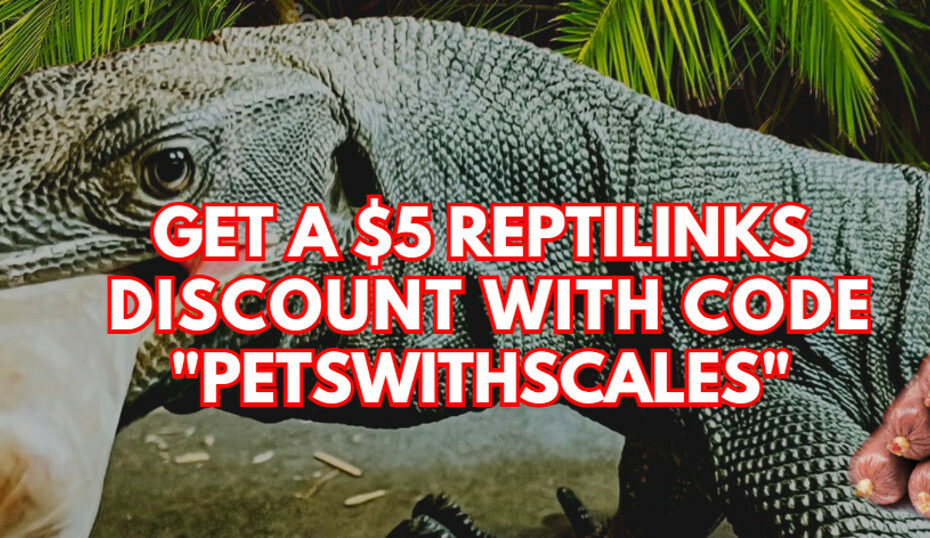 Dostawać $5 rabatu na Twoje kolejne zamówienie w Reptilinks z dopiskiem „petswithscales" kod partnerski
