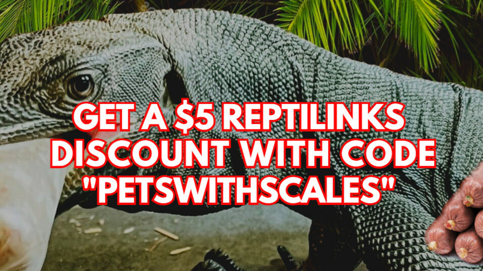 Ottenere $5 di sconto sul tuo prossimo ordine su Reptilinks con "petswithscales" Codice di affiliazione