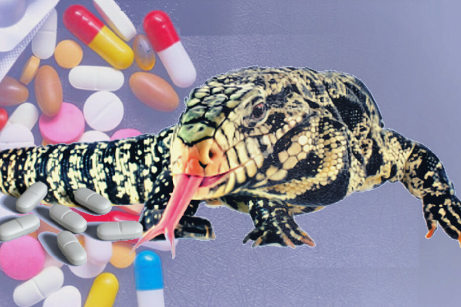 Tegu Calcium and Mineral Supplements