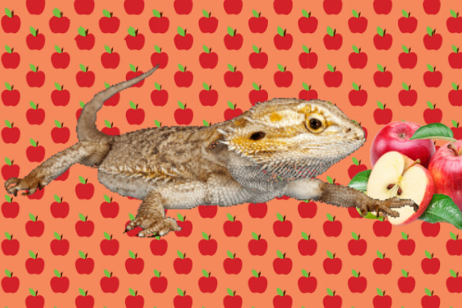 can bearded dragons eat apples?