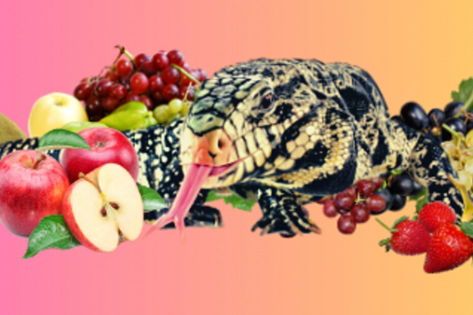 Tegu Lizard and fruits