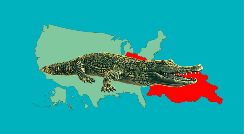 Alligatorer i Georgia
