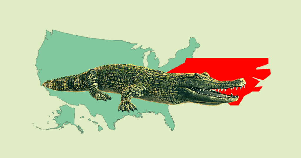 Alligators in North Carolina
