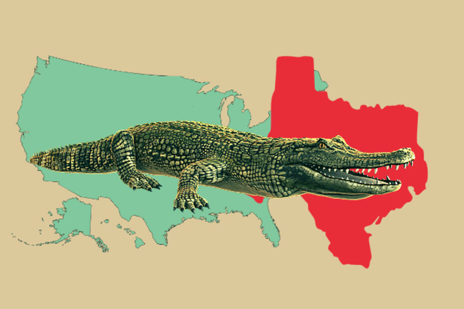Alligatoren in Texas