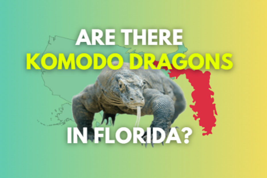 Are there Komodo dragons in Florida USA?