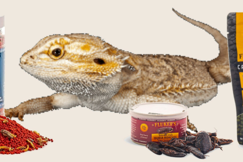 Fluker's Reptile Food for Bearded Dragons